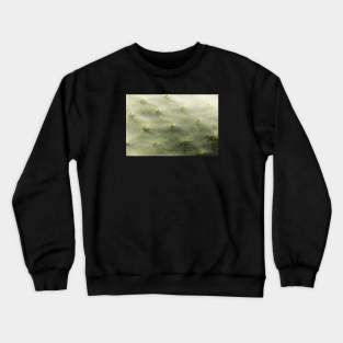 Detailed capture of cactus Crewneck Sweatshirt